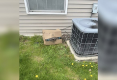 Rescuers Open Tattered Amazon Box — And Find Three Tiny Kittens Inside