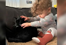 Blind Toddler and Her Devoted ‘Seeing-Eye Cat’ Are the Cutest Inseparable Duo