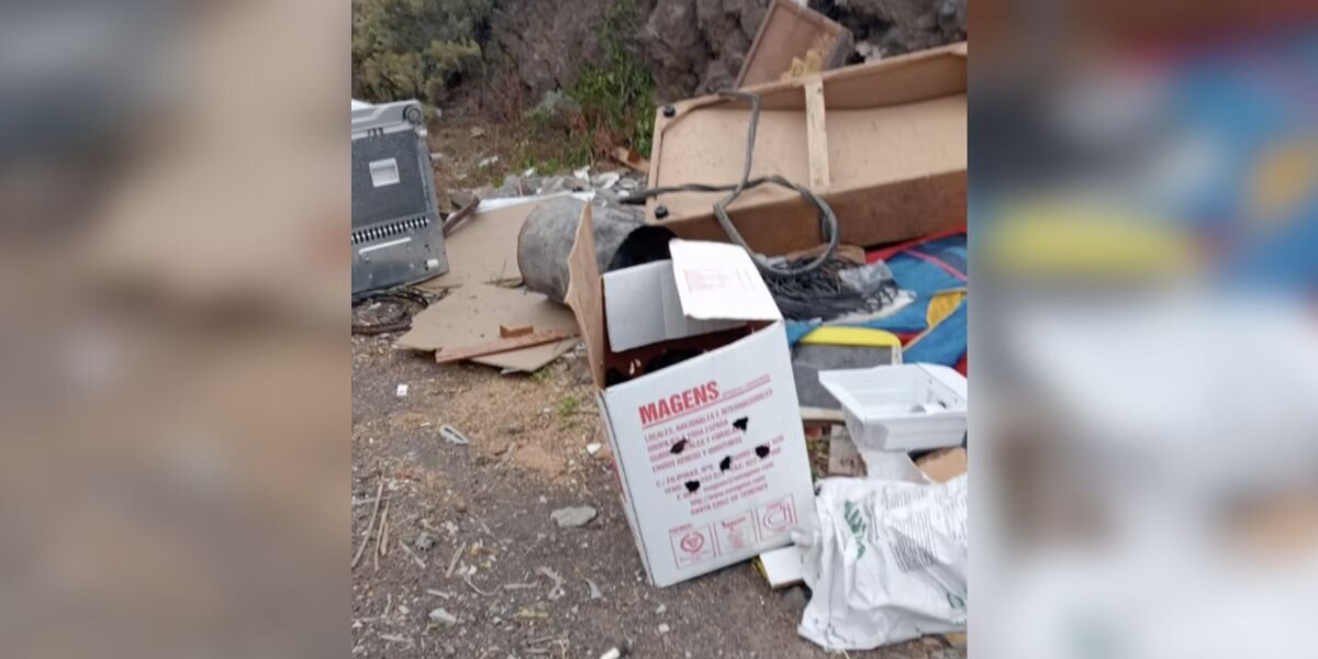 Rescuer Peeks Inside Cardboard Box And Finds 8 Tiny Puppies Clinging to Life