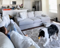 Brave Dog Senses Mom’s Medical Emergency — And Saves Her Life