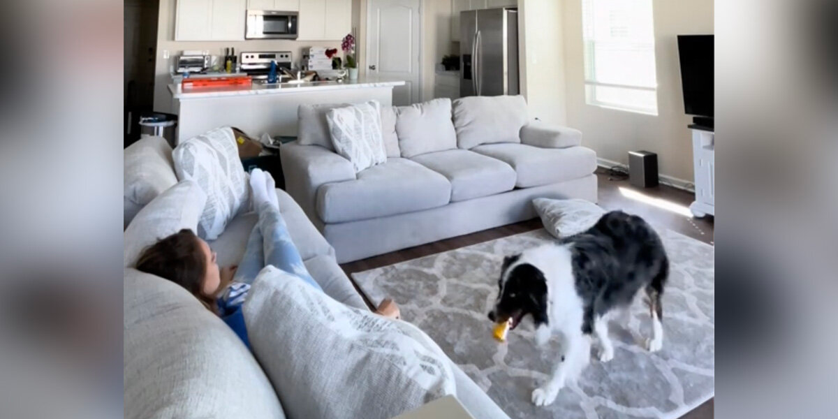 Brave Dog Senses Mom’s Medical Emergency — And Saves Her Life