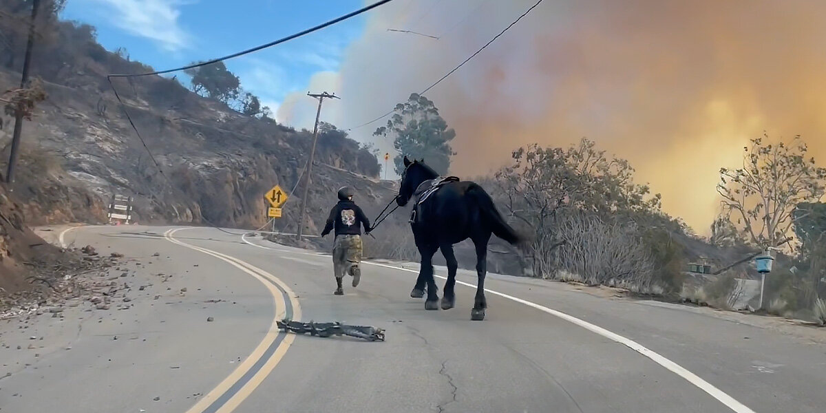 Teen Hero Guides Frightened Horse Through Wildfire to Safety