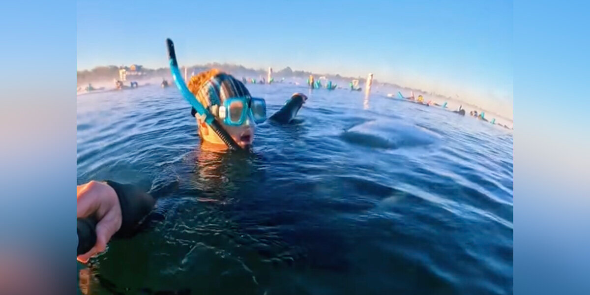 Snorkeler Feels a Tug on Her Leg — And Gets the Sweetest Surprise