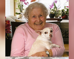 No One Wanted This Senior Dog — Until a 100-Year-Old Woman Came Along
