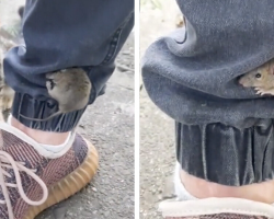 Man Freezes As Mouse Climbs His Leg — Then Makes a Beautiful Choice
