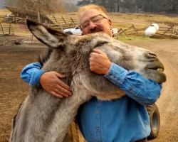 Man and His Donkey Share Emotional Reunion After Wildfire Separates Them