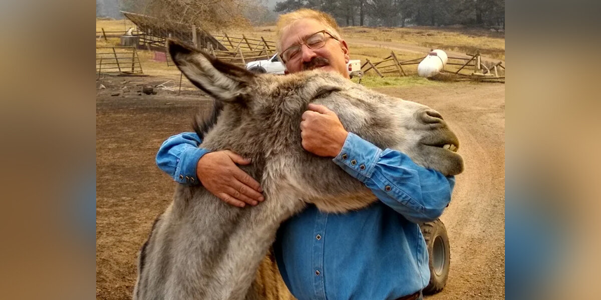 Man and His Donkey Share Emotional Reunion After Wildfire Separates Them