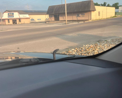 Woman Nearly Swerves Off Road When Surprise Passenger Pops Out From Her Car Hood