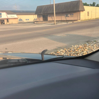Woman Nearly Swerves Off Road When Surprise Passenger Pops Out From Her Car Hood