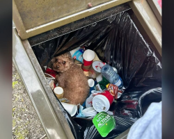 Man Tosses Gum — And Finds A Dog Buried Alive In A Trash Can