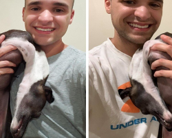 Dog “Melts” Into a Puddle Anytime His Dad Tries to Snap a Photo
