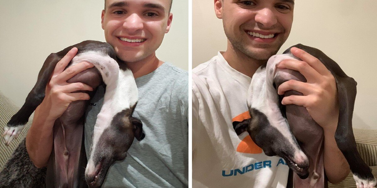 Dog “Melts” Into a Puddle Anytime His Dad Tries to Snap a Photo