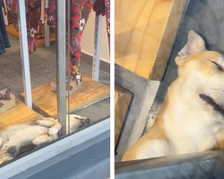Woman Walks By Boutique Window — And Sees a Beautiful Act of Kindness Inside