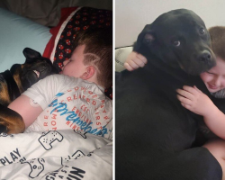 Dog Snuggles Her Human Brother to Sleep — And Ends Up Saving His Life