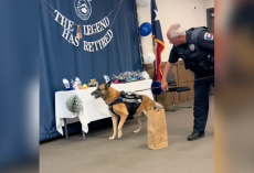 Police Officers Throw Adorable Retirement Party for Beloved K-9