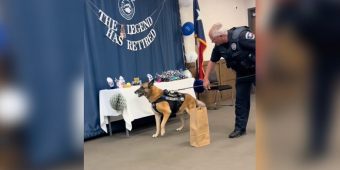 Police Officers Throw Adorable Retirement Party for Beloved K-9