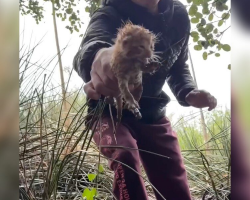 Man Hears Tiny Cries During Hailstorm — Ends Up Saving a Whole Litter