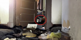 Rescuers Step Into an Abandoned House and Are Greeted by a Sea of Curious Puppy Eyes