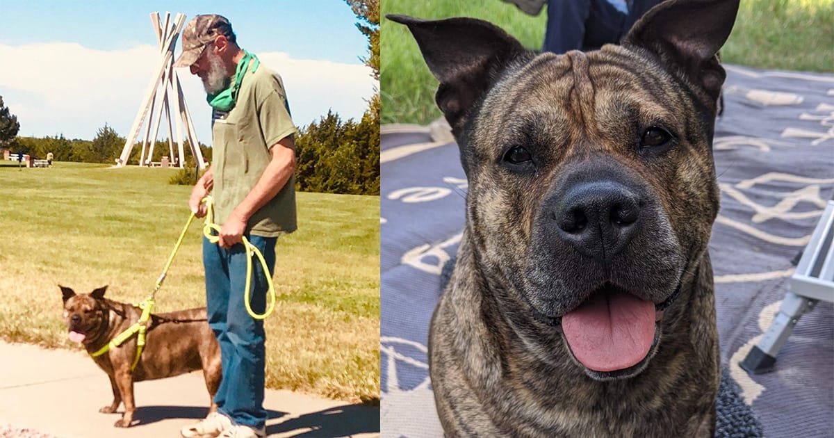 Man’s Final Wish: Find a Loving Home for His Dog Before He Says Goodbye