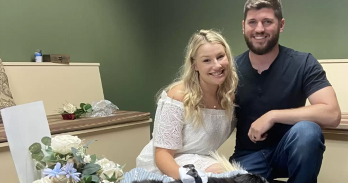 Couple Holds Last-Minute Wedding at Vet Clinic So Their Senior Dog Could Be There