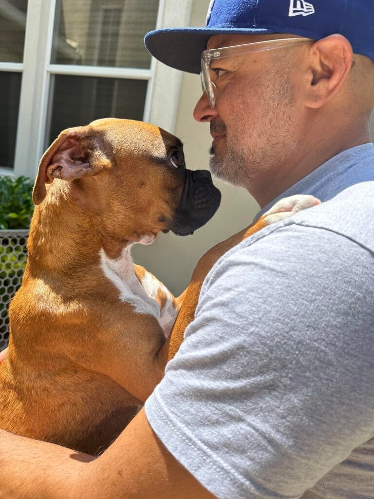 Boxer Puppy Collapses in Stranger’s Driveway — But Her Story Ends in the Sweetest Way
