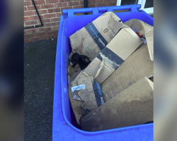Sanitation Workers Stop in Shock When They Spot Tiny Faces in the Trash