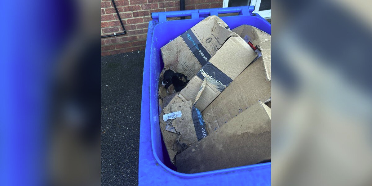 Sanitation Workers Stop in Shock When They Spot Tiny Faces in the Trash
