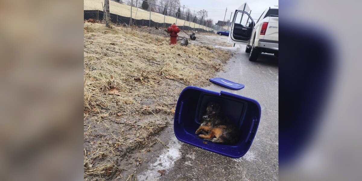 Woman Spots Taped-Up Tote on the Curb — Then Hears Something Inside