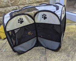 Dirty Playpen Left On Roadside Was Hiding a Tiny Surprise Inside