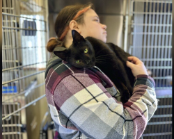Cat Returned for Being ‘Too Affectionate’ Just Wants Someone to Love