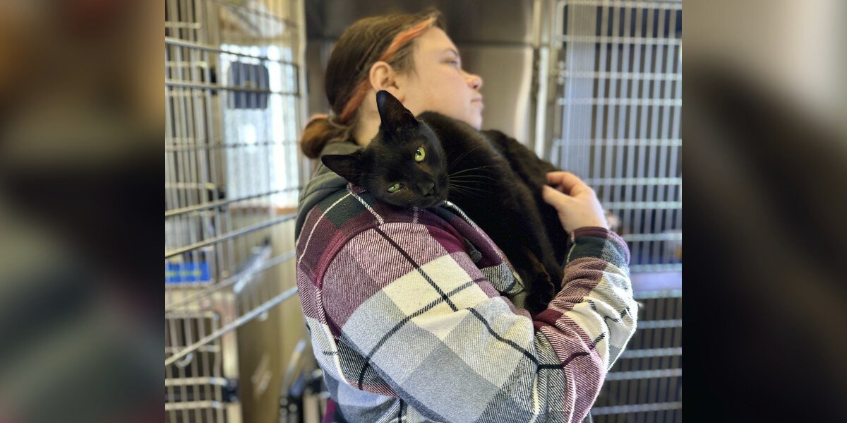 Cat Returned for Being ‘Too Affectionate’ Just Wants Someone to Love