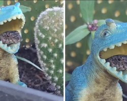 Little Lizard Moves Into Plastic Dinosaur — And Steals Everyone’s Heart