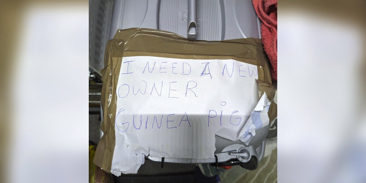 Commuters Find Pet Carrier On Subway Platform — And The Note On Top Breaks Everyone’s Heart