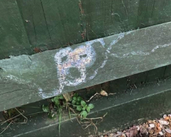 Grieving Woman Receives Heartfelt Signs From Her Beloved Dog Across the Rainbow Bridge