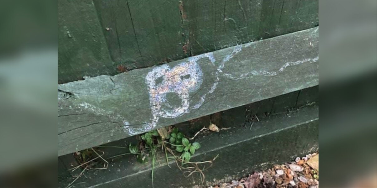 Grieving Woman Receives Heartfelt Signs From Her Beloved Dog Across the Rainbow Bridge
