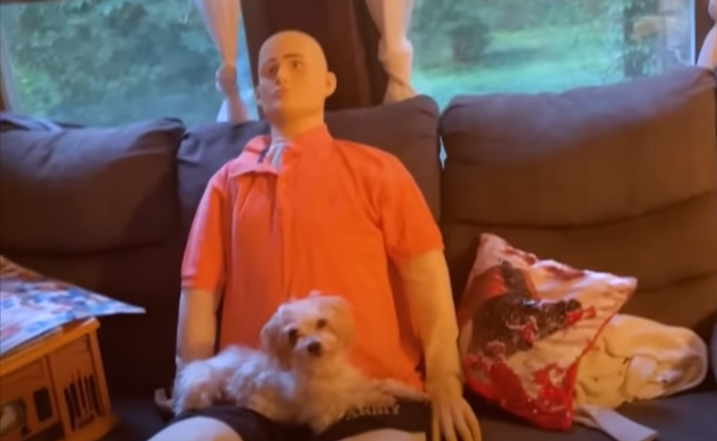 Tiny Senior Dog Shares Heartwarming Connection With Life-Sized Emotional Support Doll