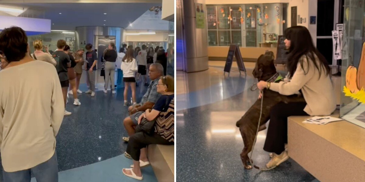 Hundreds Rush to Save Shelter Dogs Ahead of Hurricane Milton