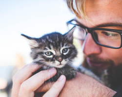 Nearly Half of Cat Parents Value Their Pets More Than People, Study Finds