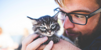 Nearly Half of Cat Parents Value Their Pets More Than People, Study Finds
