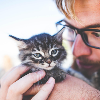 Nearly Half of Cat Parents Value Their Pets More Than People, Study Finds