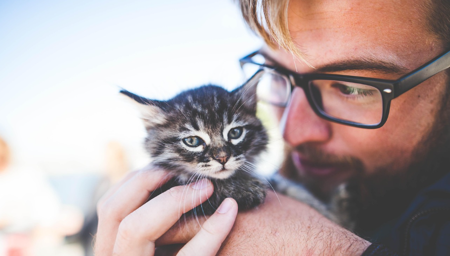 Nearly Half of Cat Parents Value Their Pets More Than People, Study Finds