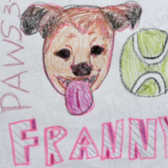 Elementary Students Write 100 Heartfelt Letters to Help Shelter Dog Find a Home