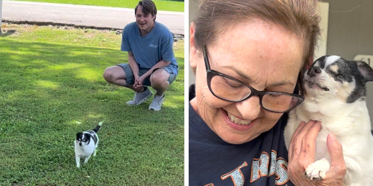 Blind Senior Dog Lights Up Every Time She Realizes Her Favorite Person Is Near
