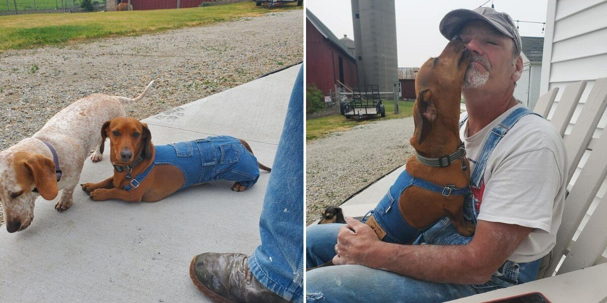 Dog Gets His Own Pair Of Overalls To Match His Dad’s Signature Look