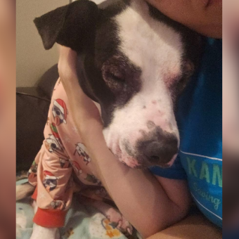 Dog Returned To Shelter 5 Times Still Hopes For A Forever Family