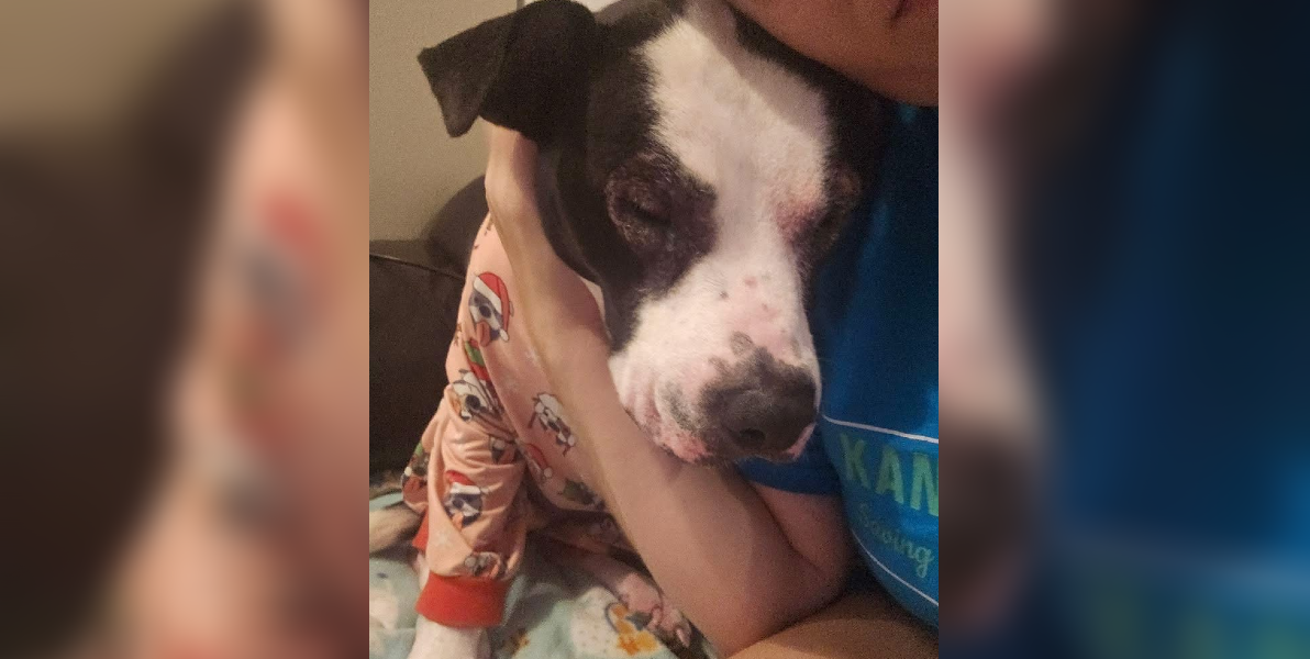 Dog Returned To Shelter 5 Times Still Hopes For A Forever Family