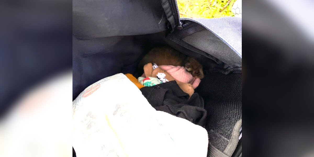 Mom Opens Diaper Bag — And Finds A Tiny Stowaway Curled Up Inside