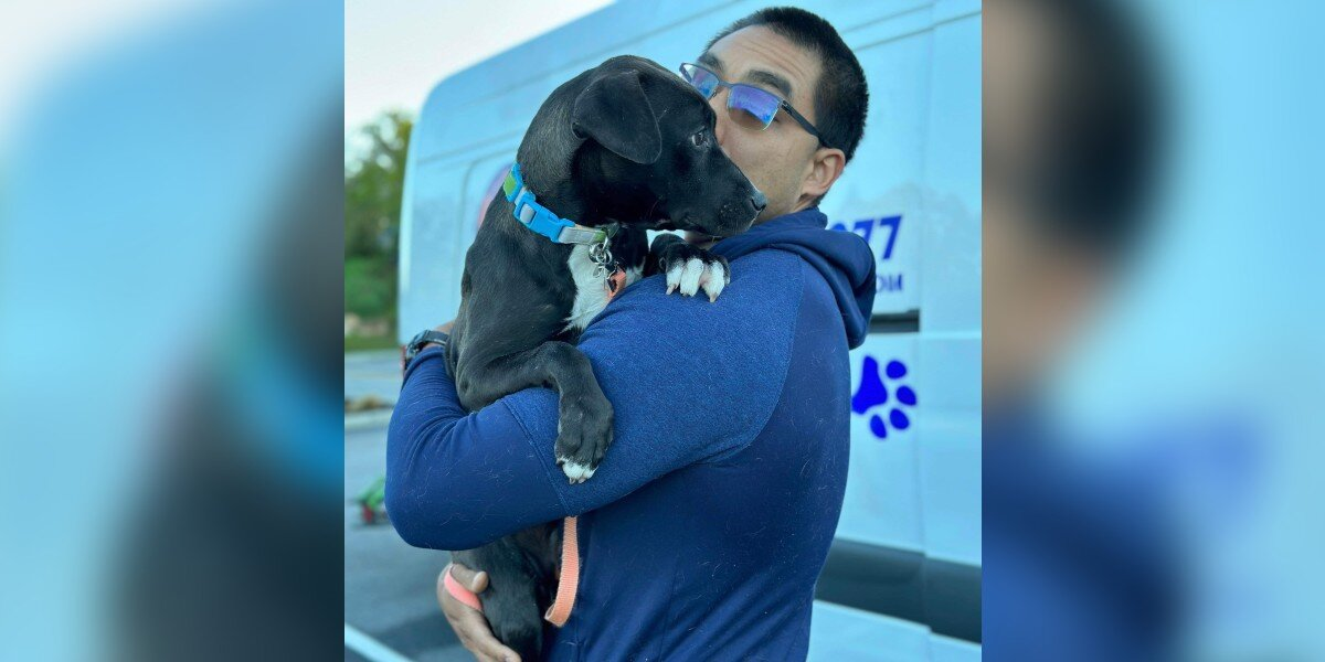 Dog Moves Through 8 Foster Homes — Still Waiting For Someone To Finally Choose Her
