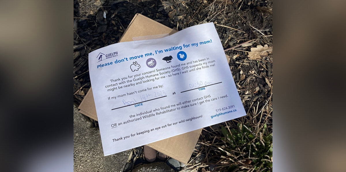 Cardboard Box With a Note Hid Something Precious Inside