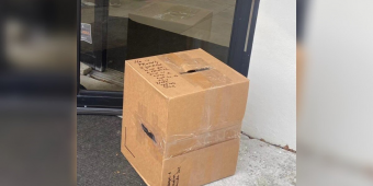 Rescuers Find Sealed Box On Their Doorstep — And A Frightened Face Inside